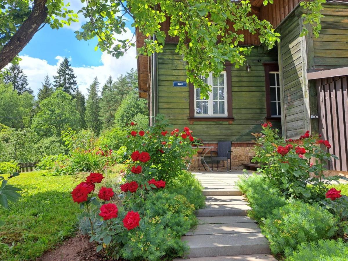 Turisma Mitne Zviedri Apartment Līgatne Екстериор снимка